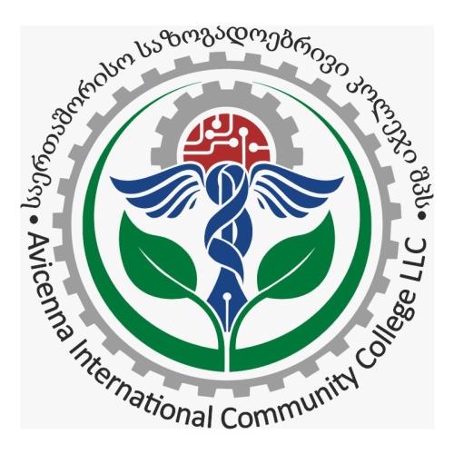 دانشگاه بین المللی ابن سینا گرجستان